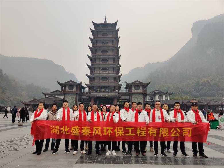 2019年湖北盛秦風(fēng)公司湘