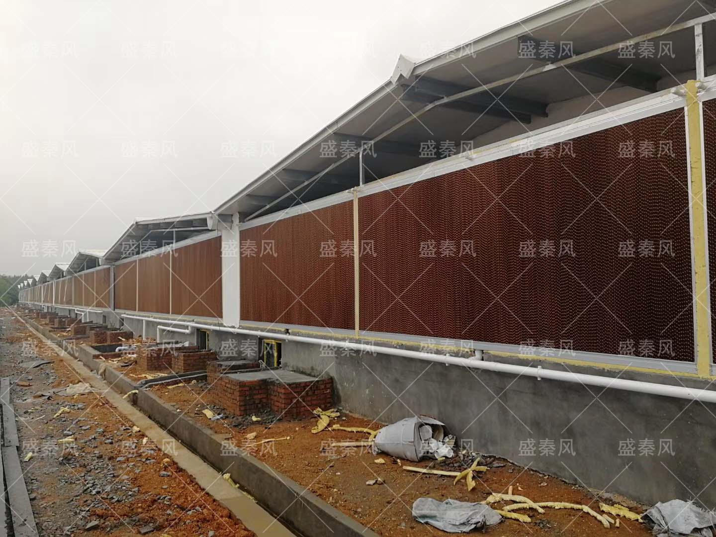 養(yǎng)殖場(chǎng)如何通風(fēng)降溫？什么是濕簾降溫系統(tǒng)，這些您都知道嗎？