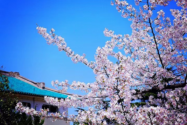 潤(rùn)東方總部領(lǐng)導(dǎo)相約盛