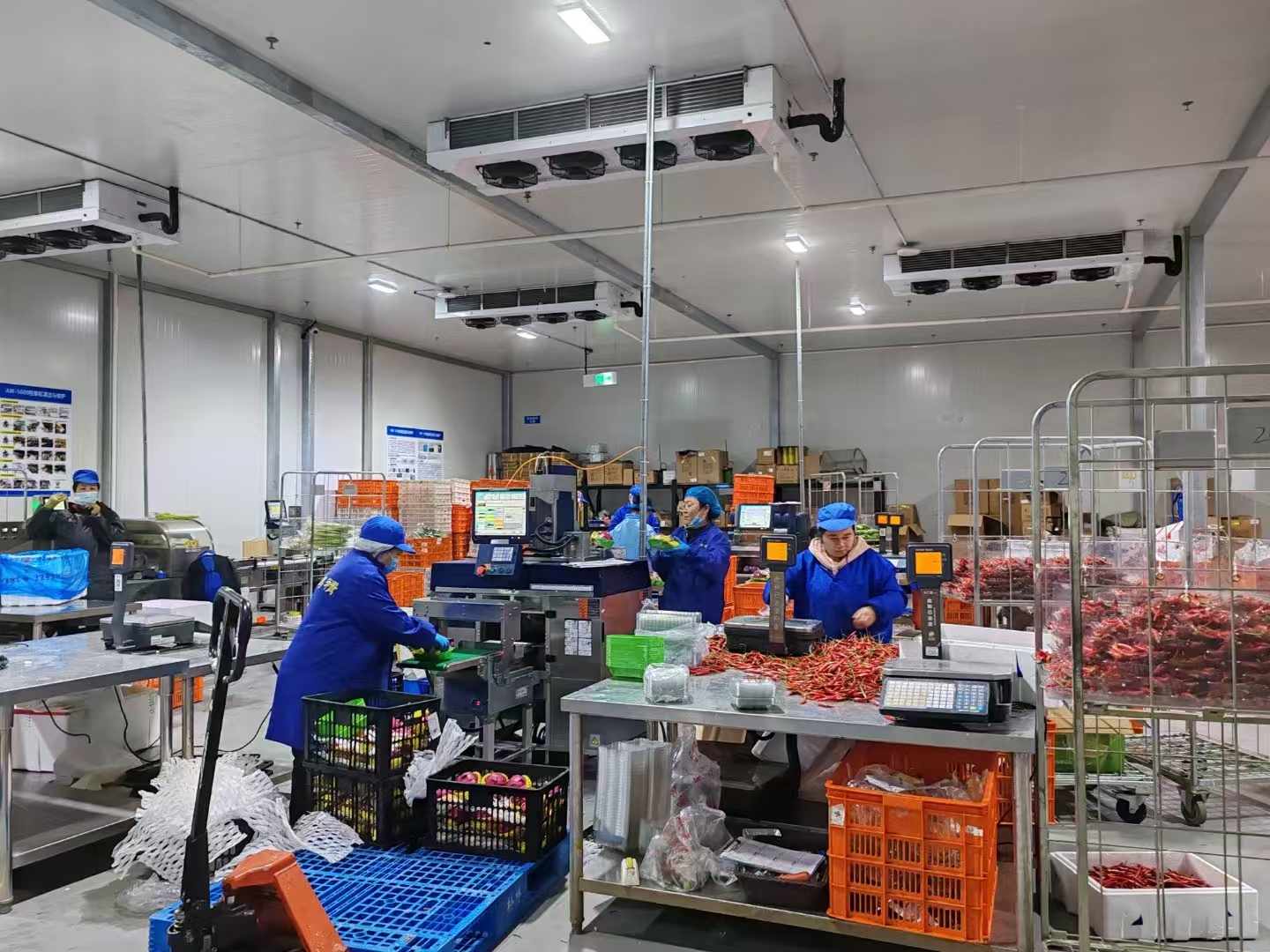 蔬菜保鮮冷庫的建設(shè)要求和特點有哪些？使用時注意這些