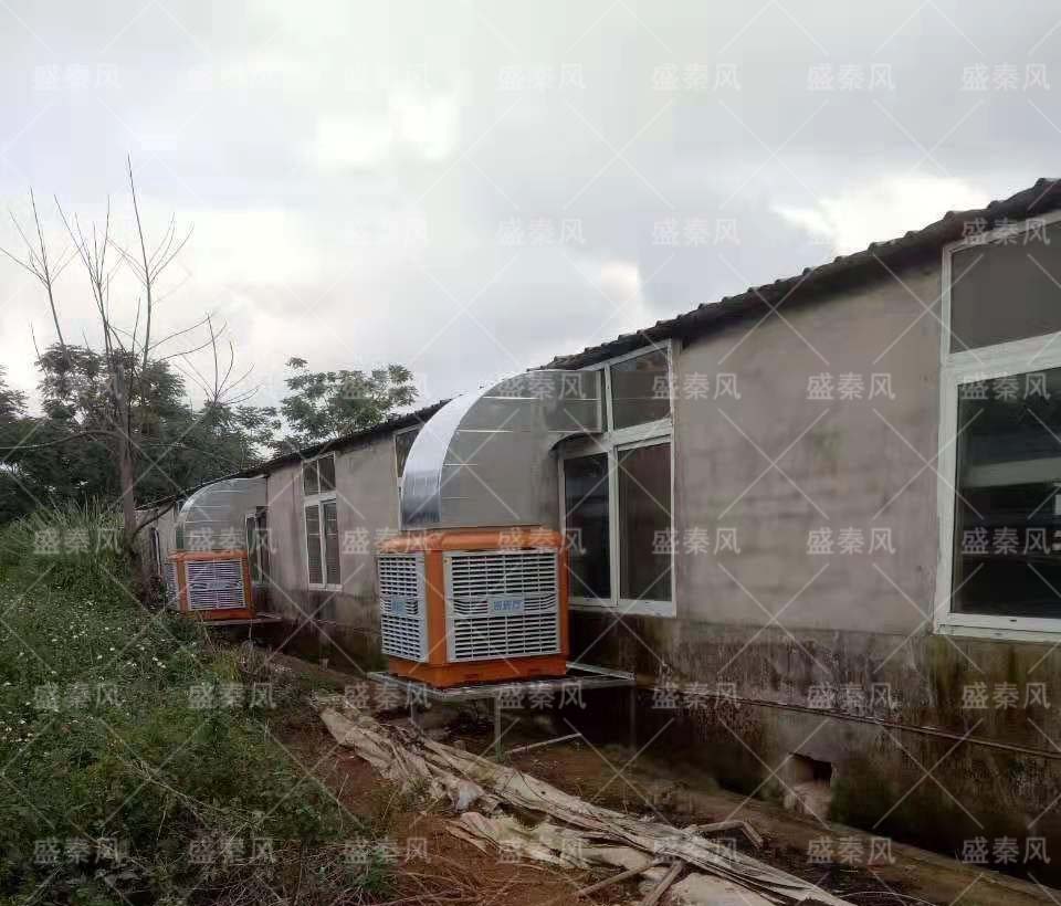 關(guān)于養(yǎng)殖場通風降溫工程技術(shù)處理要求？這些都了解嗎