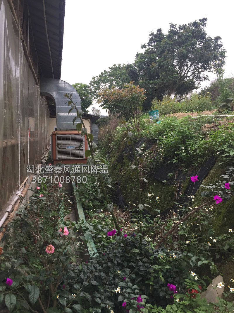 天氣太熱?環(huán)?？照{(diào)為你的餐廳守護(hù)清涼