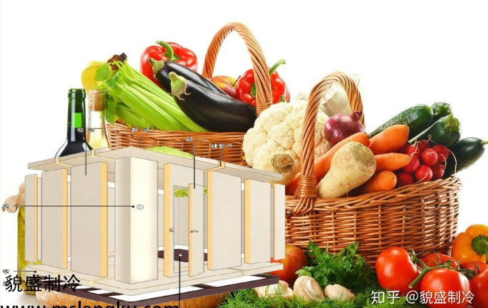 蔬菜保鮮冷庫的特點與優(yōu)勢有哪些？您了解這些方面嗎