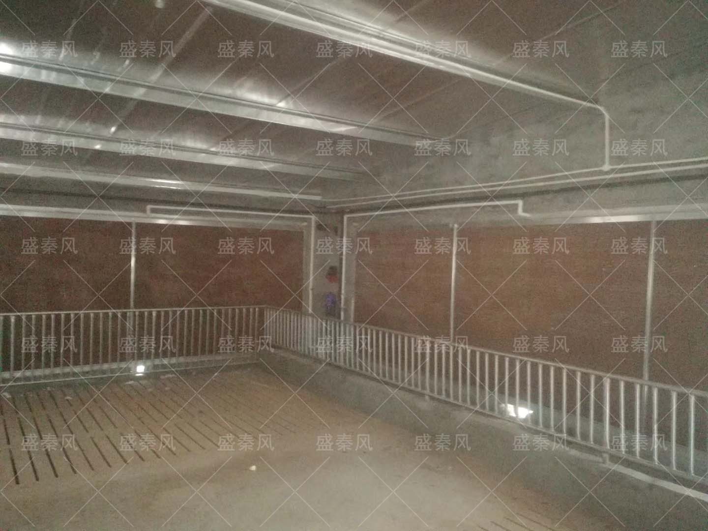 原來養(yǎng)豬場的通風(fēng)降溫還有這些講究！看看您就知道了