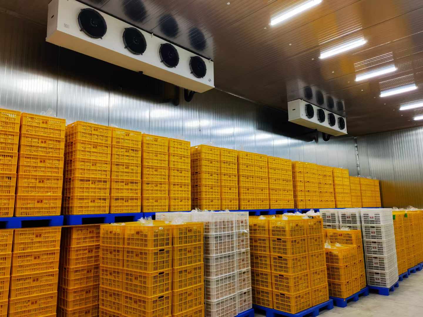 建蔬菜保鮮冷庫(kù)的要求和特點(diǎn)及使用注意事項(xiàng)都有哪些？